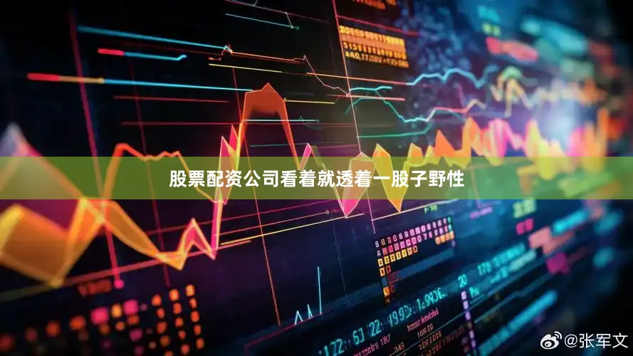 股票配资公司看着就透着一股子野性