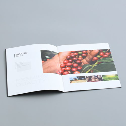 彩源印刷 值得信賴(lài) 圖 產(chǎn)品畫(huà)冊(cè)印刷公司 東莞產(chǎn)品畫(huà)冊(cè)印刷